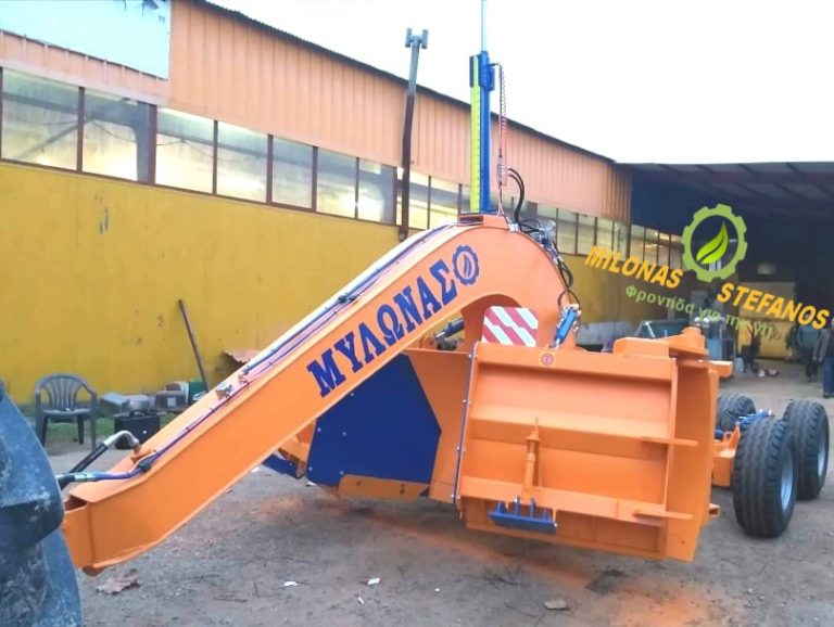 259884266 604310350808868 4234837545242552828 n 768x578