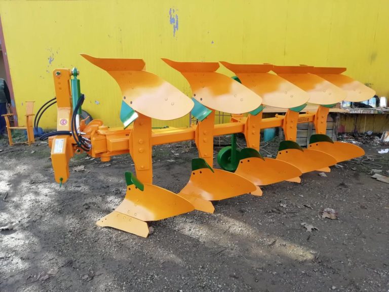 316715875 554267323196087 3566692485619760962 n 768x576