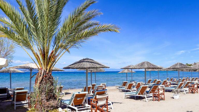 278063271 3128131170760757 5738374004942666018 n 768x434