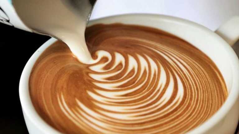 307212733 603317404829092 4113062313613826793 n 768x432