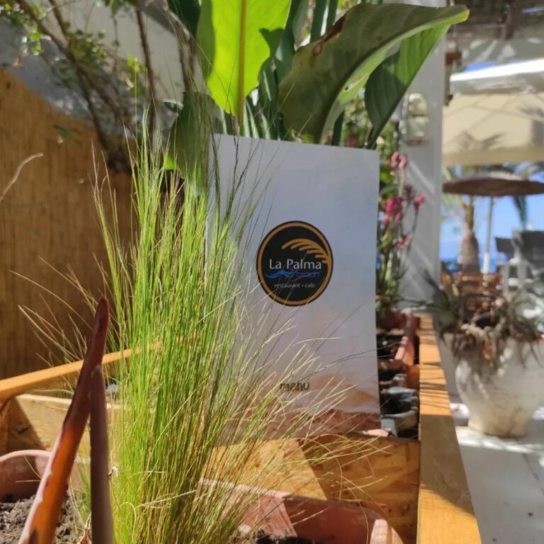 340937249 1385273165570499 1438284445915699900 n 768x768