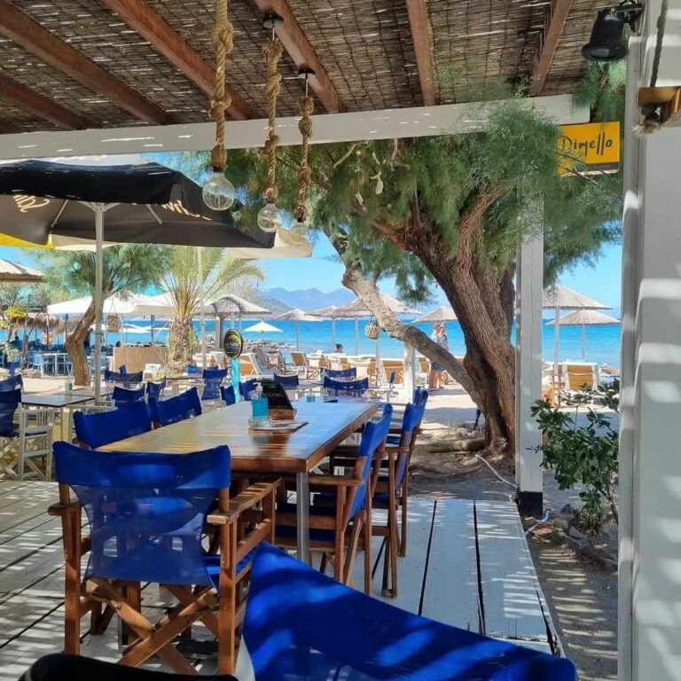 341010436 952146019297824 2078890921510370479 n 768x768