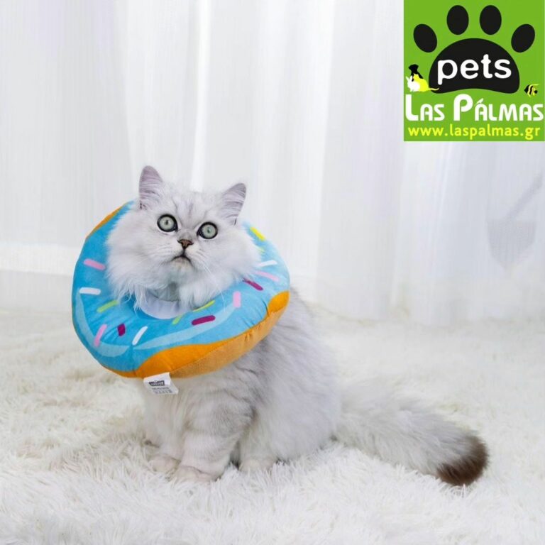 363943492 778025684327607 7436076494091030822 n 768x768