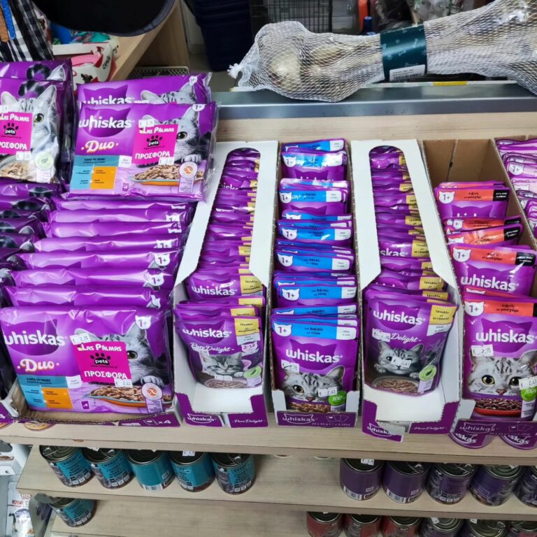 365178232 776510341145808 2787721684491593423 n 768x768