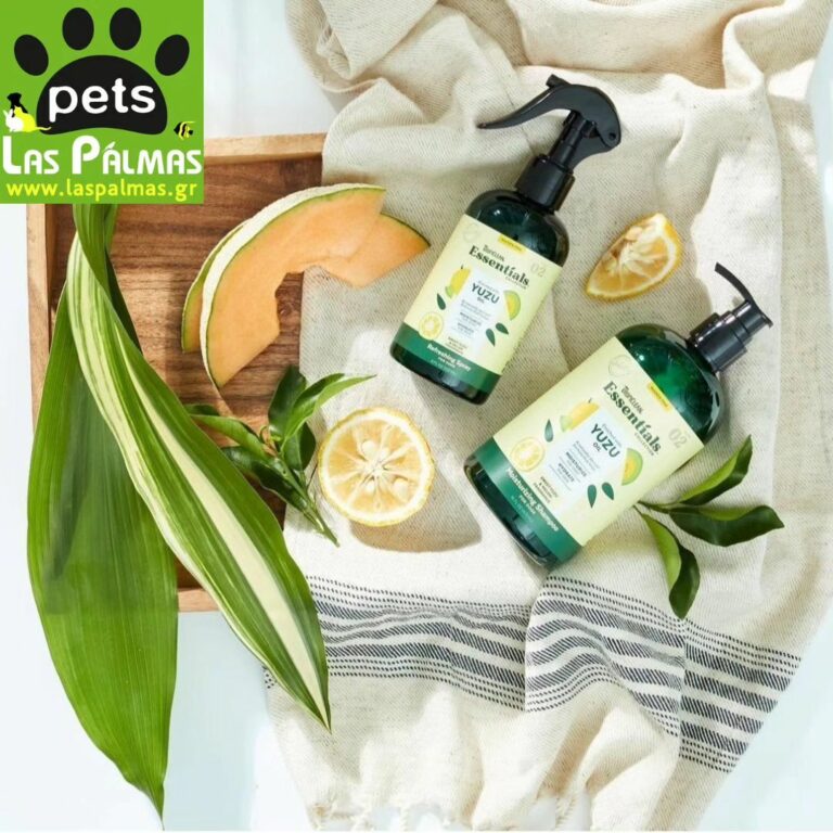 367460988 782451520551690 8322183388413650540 n 768x768