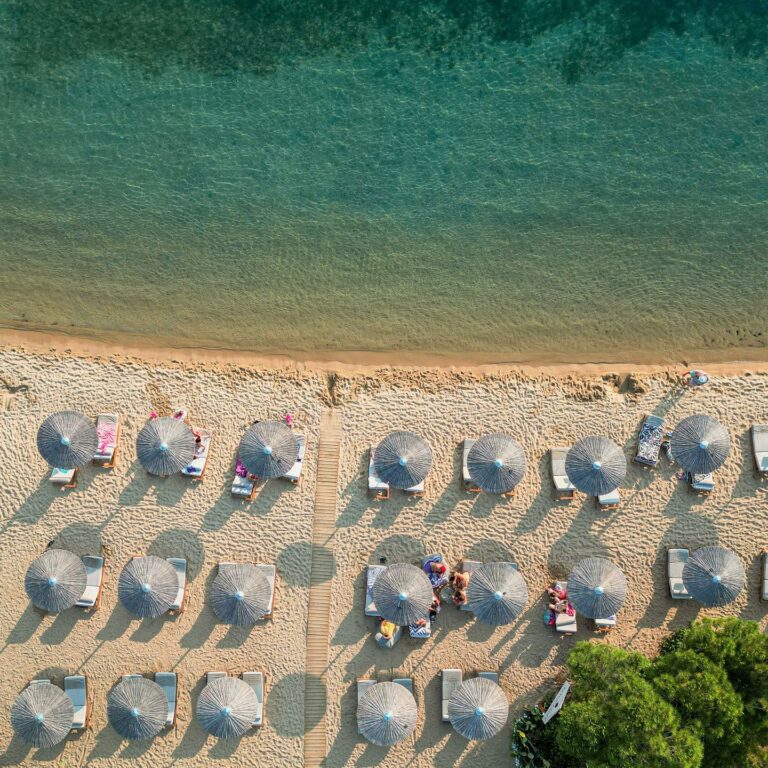 367490648 598970195784045 8907826605433707162 n 768x768