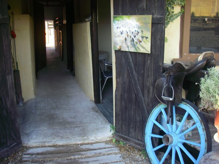 117736811 3322012247857718 1948458537417792476 n 768x576