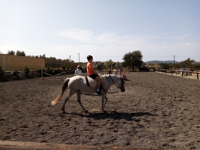 120157642 3453105158081759 3671982259919455633 n 768x576