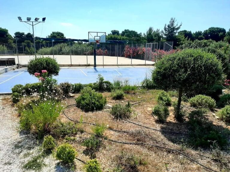 275282603 838011853753202 4476965745225496050 n 768x576