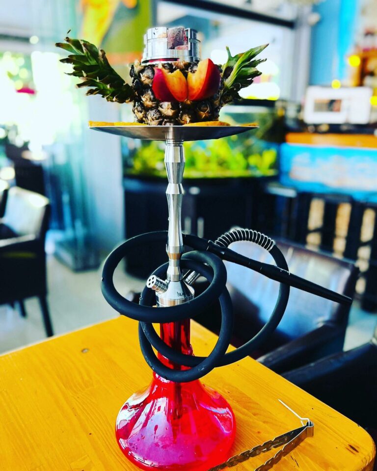 298350305 2158528484307101 1870439536426748379 n 768x960