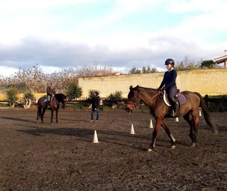 326545395 1380801649348828 5776073076036979365 n 768x647