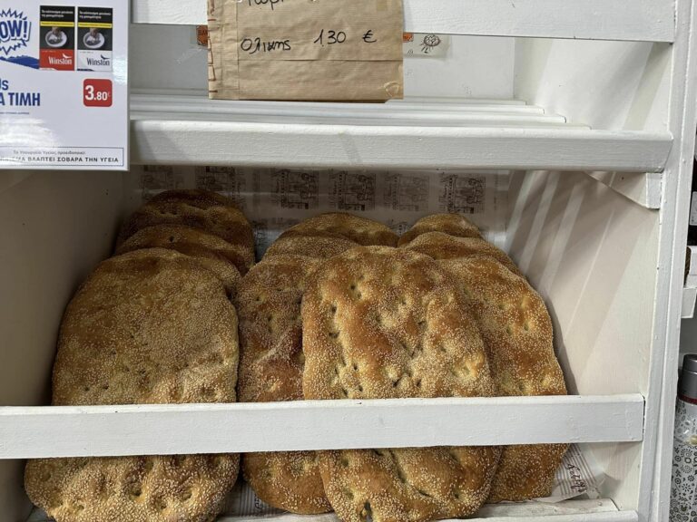 333846186 3529081363979640 2243977811528976483 n 768x576