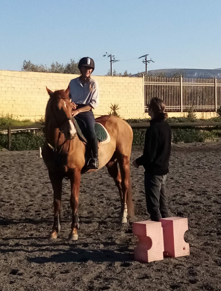 337405829 628027402484298 3263989522103949001 n 768x1011