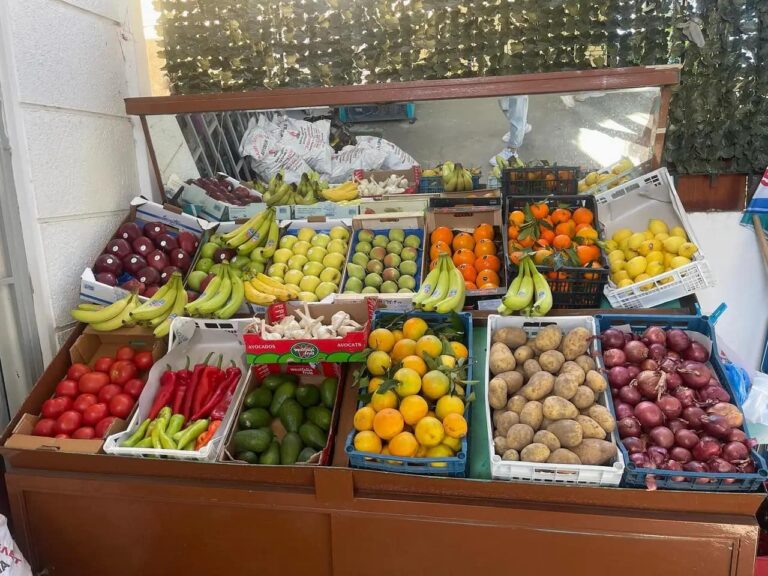 349781895 635161508508014 6516019836321221195 n 768x576