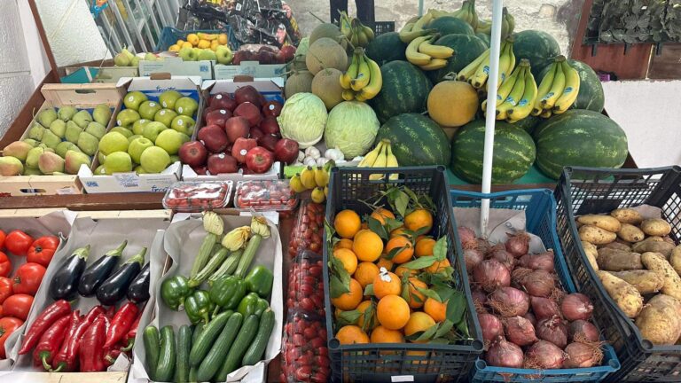 354459035 757552783038215 6494522661629943355 n 768x432