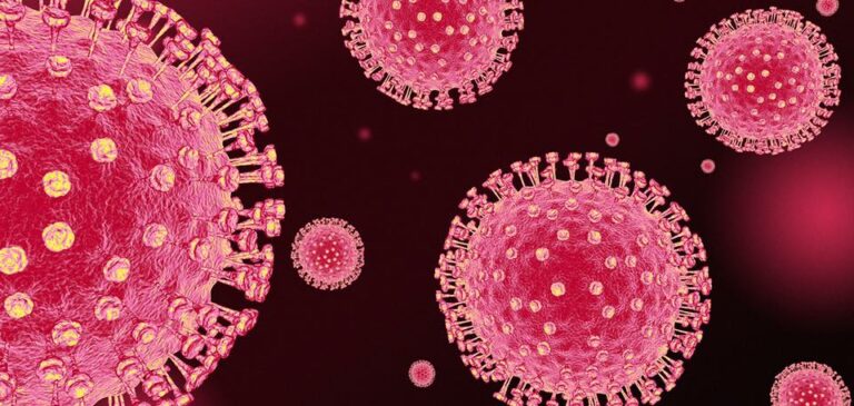 89260856 3741705922568482 584270815323750400 n 768x365