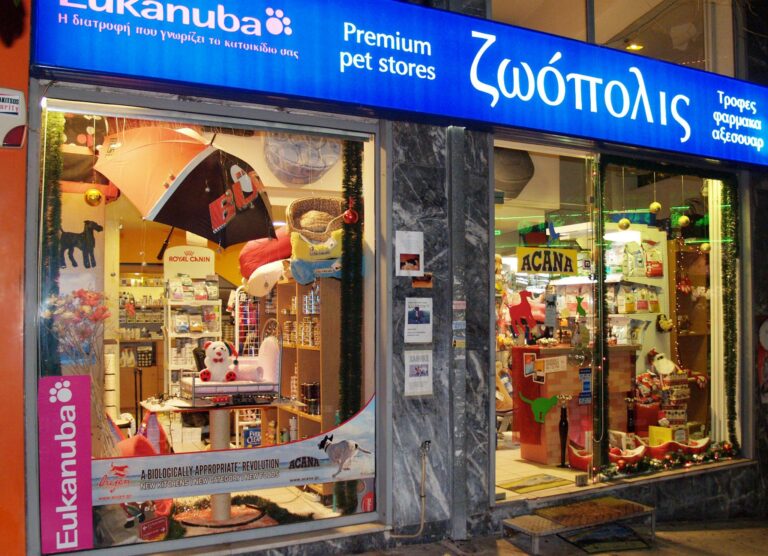 10848980 637669316343315 255216360724707230 o 768x556