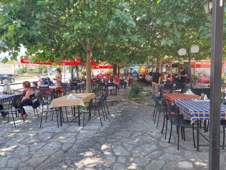 287107040 438527504944920 77212354556378817 n 768x576