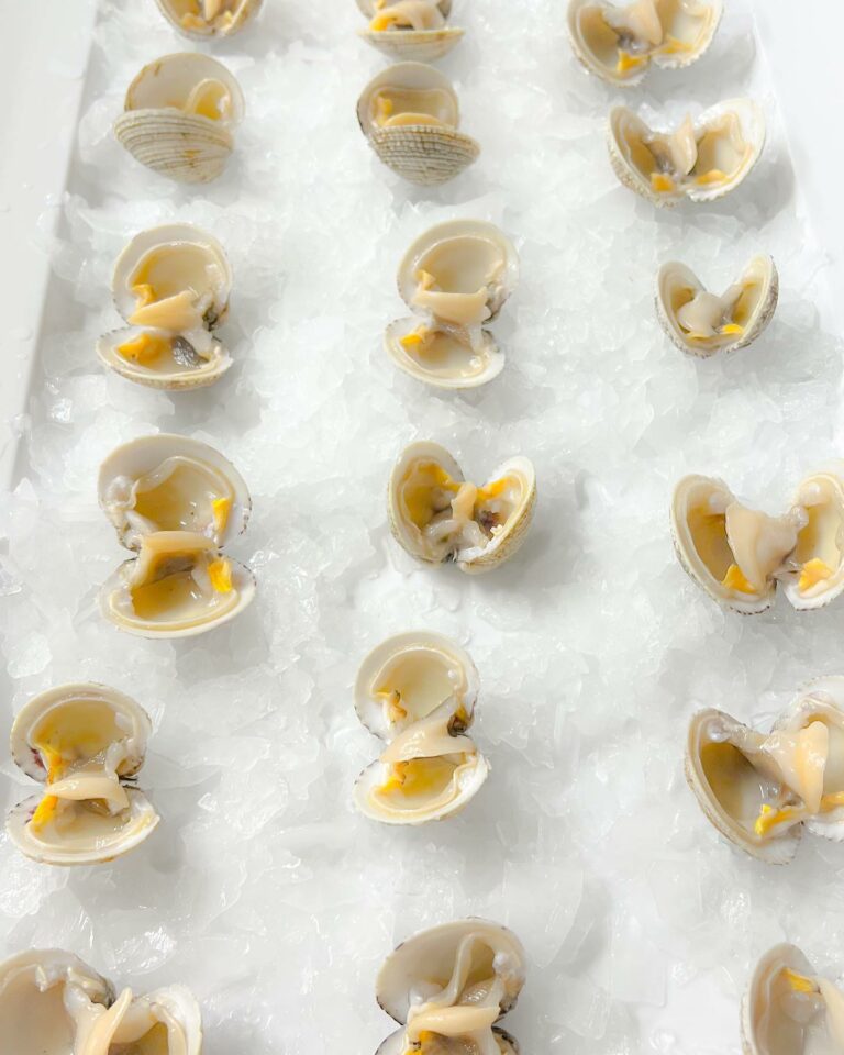 287500089 1437506283369347 2855522619562310547 n 768x960