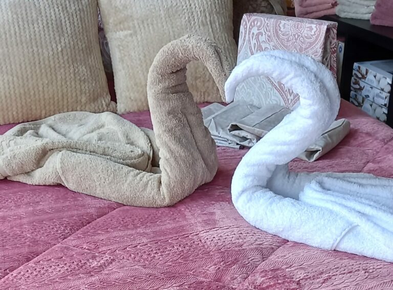 331177514 916553476434785 8081588369614463790 n 768x568