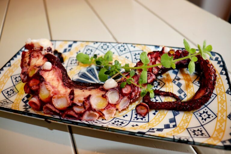 335857179 932324037941636 2271551208067414420 n 768x512