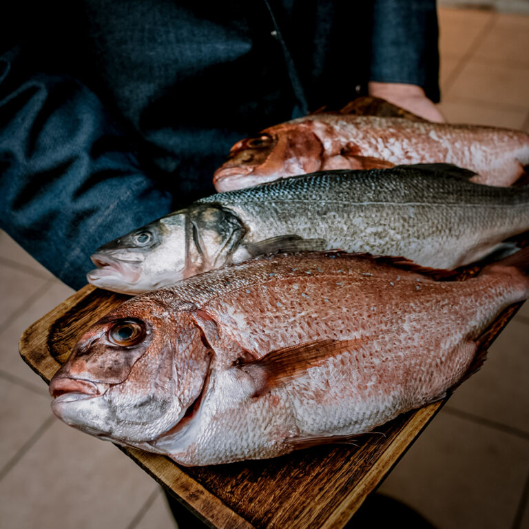 337726534 239080398804571 6215673145469593525 n 768x768