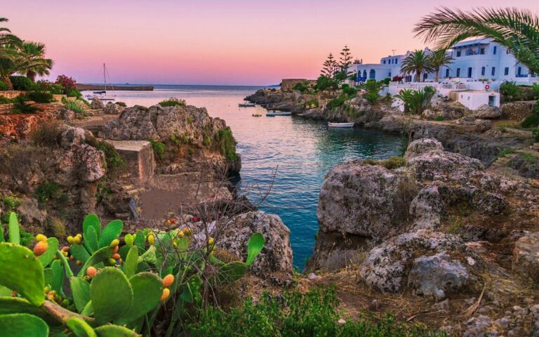 365066789 763079245820617 7479565421469830401 n 768x480