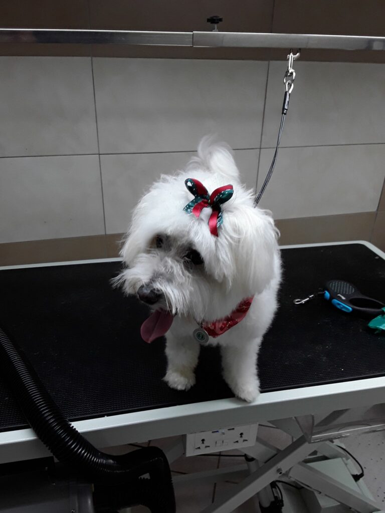 48421395 1827721970671371 7664919651440132096 n 768x1024