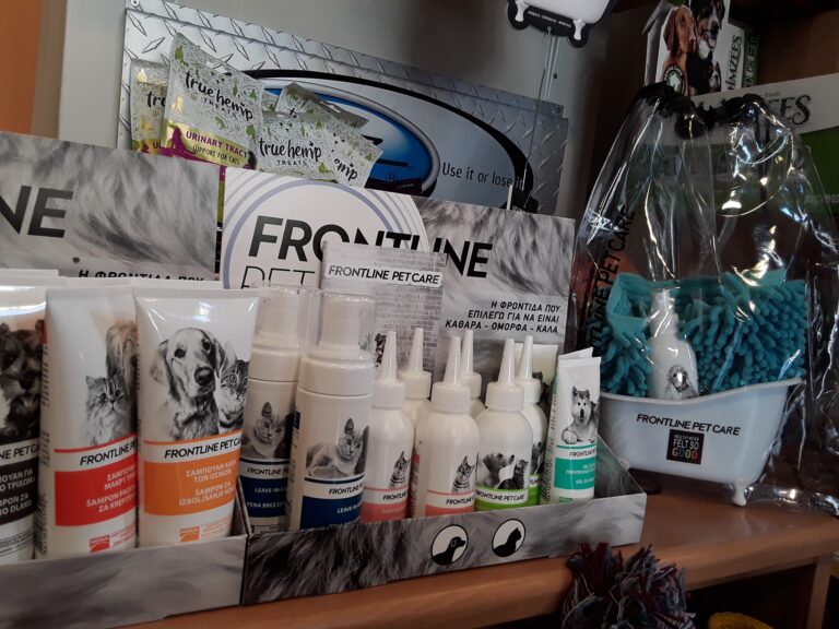 62357004 2081425491967683 6108110696606597120 n 768x576