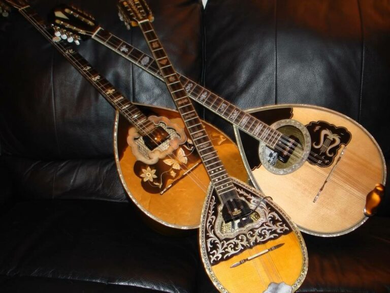 12968106 1723264544587840 8697499608054253908 o 768x576