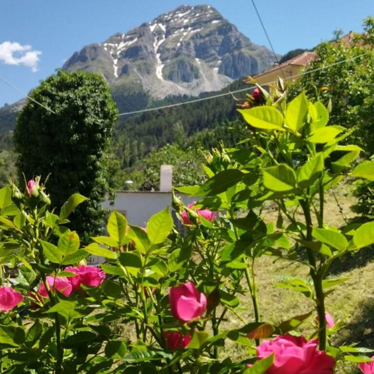 2022 07 17 2 768x768