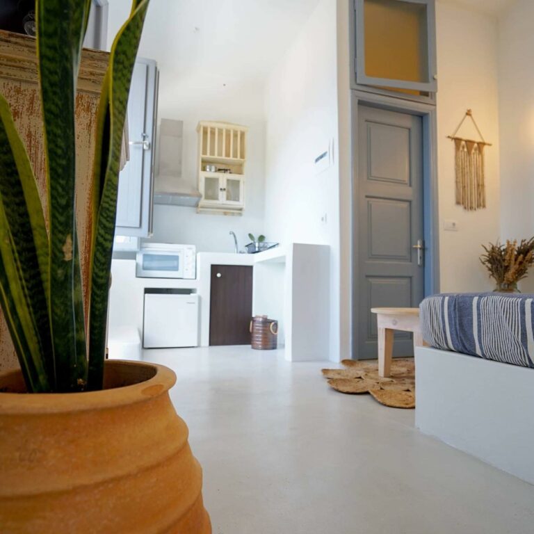 217702776 4146130002173422 2276437635931311749 n 768x768