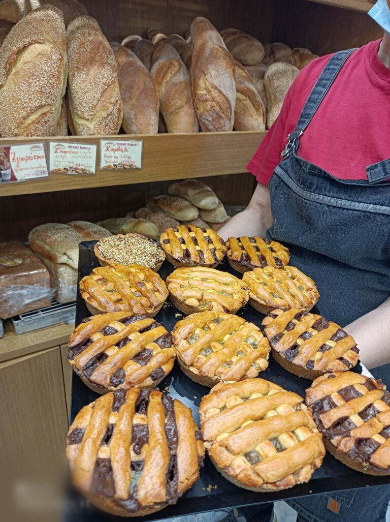 248193033 3002078216696773 2106513369940858051 n 768x1027