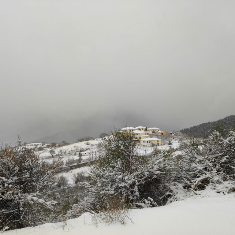 272901680 5167632143260384 2035599154365940324 n 768x768