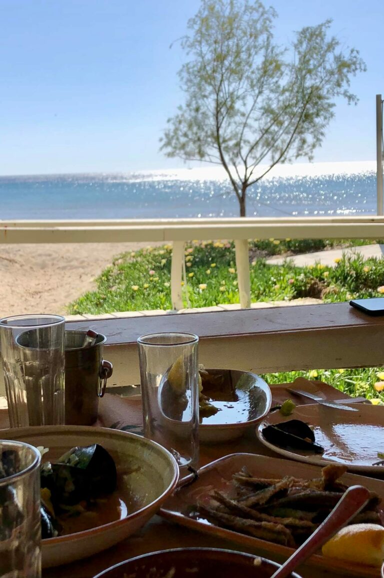 280061543 4922626247791400 8084815629606693687 n 768x1157