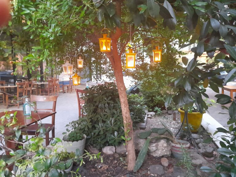 280976324 5012165488874809 6841045232860409345 n 768x576