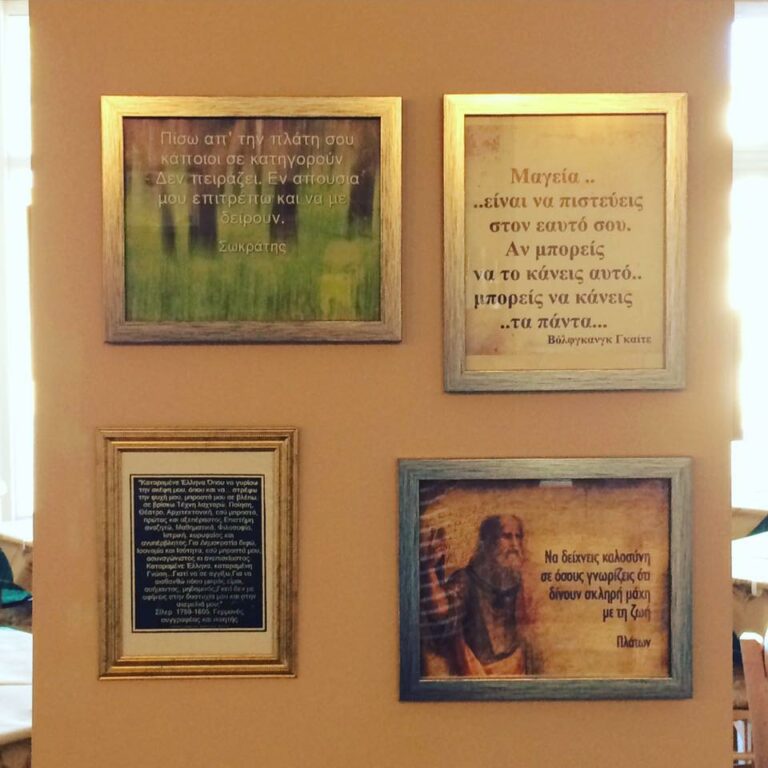 300371384 751564039439619 5134707921268973766 n 768x768