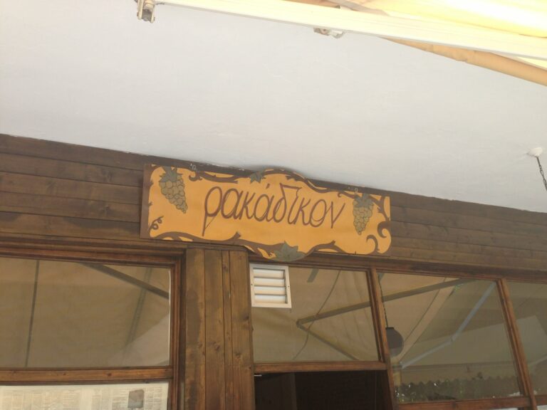 305216917 633253751835321 6481669559016789494 n 768x576