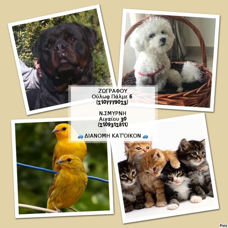 307457282 536752481783188 670658521973883302 n 768x768