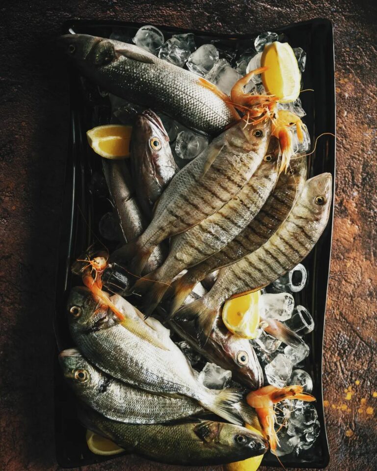 313876259 654717732717000 2121762348051710354 n 768x960