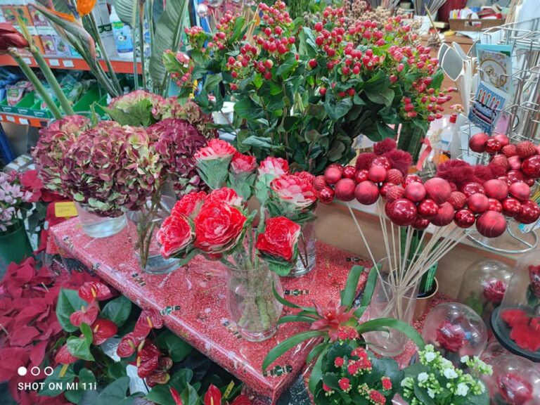 320594257 889738612459541 7229559049484587034 n 768x576