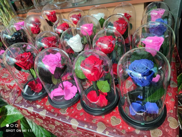 322014217 573825694606333 8375036916260492890 n 768x576