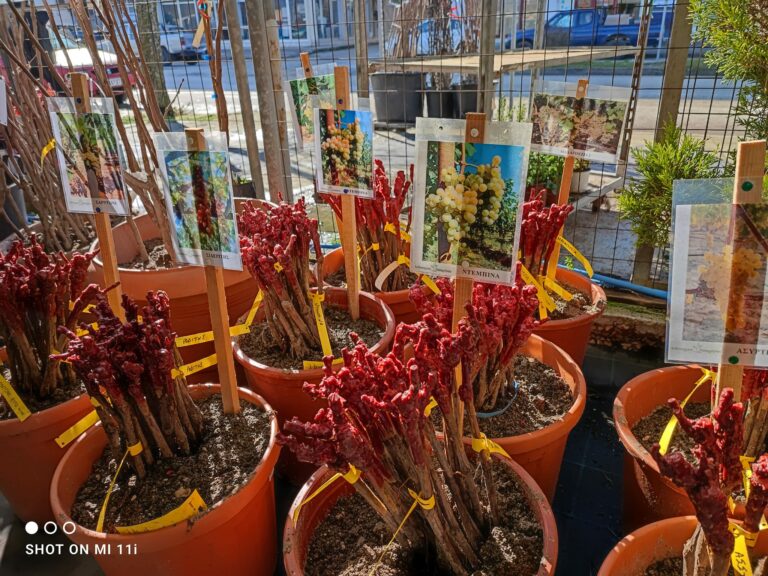 327460214 754180245643472 4168697295822925499 n 768x576