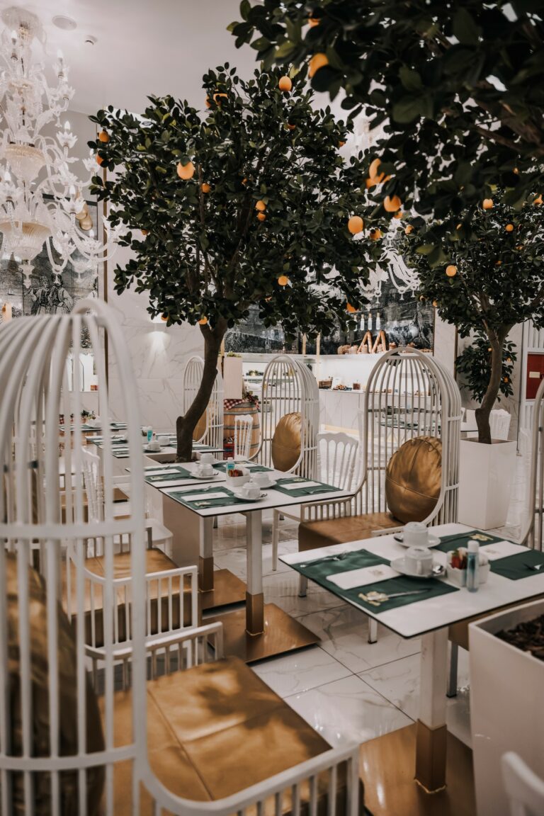 333042048 118854637799758 1376569295608838948 n 768x1152