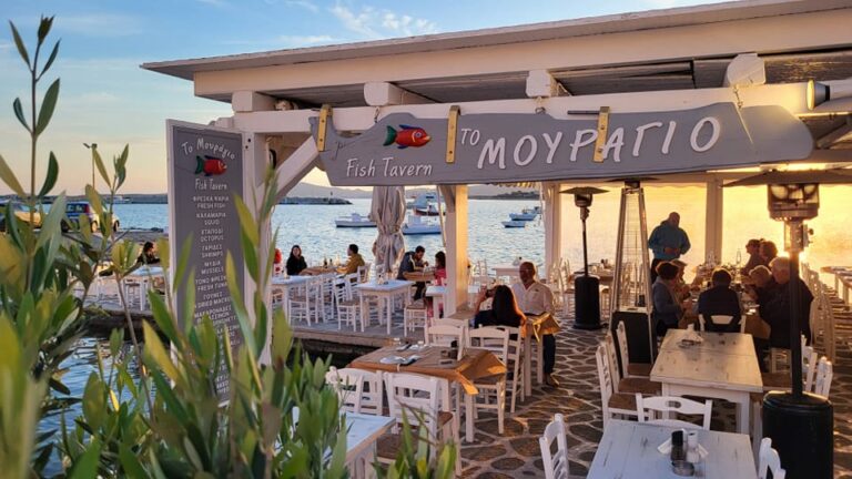 344407078 6557469754312314 2026495272930199153 n 768x432