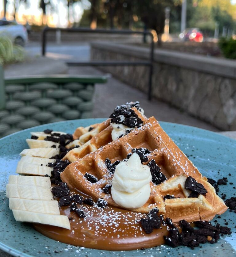 353652213 991363228864300 3545767147786502855 n 768x838