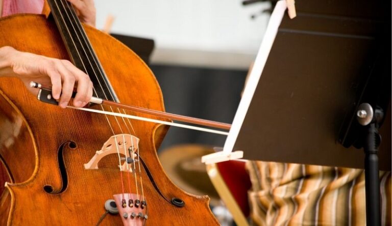 363353705 767750245296240 7821334642266708115 n 768x444