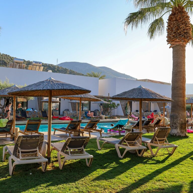 364026563 741839534617787 7949159886900054544 n 768x768