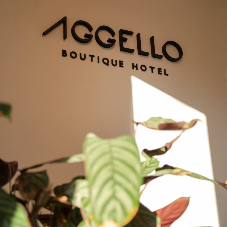 365997760 750653127069761 1752258318524503062 n 768x768