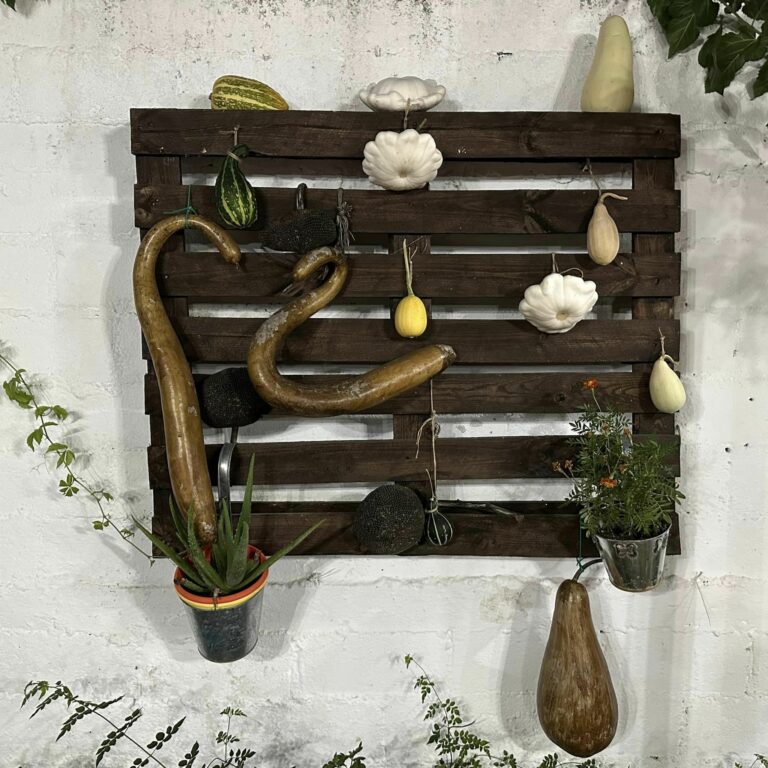 370632481 800204238463916 2247910385115344404 n 768x768